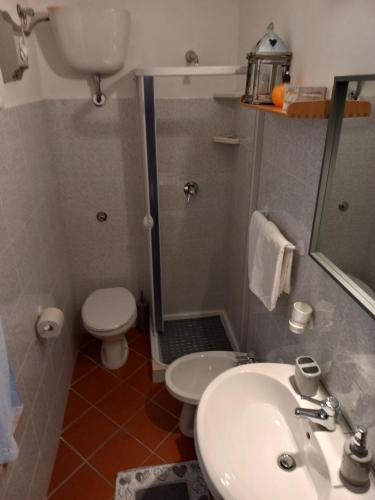 PiciniscoLo chalet Biancaneve的一间带水槽、卫生间和淋浴的浴室