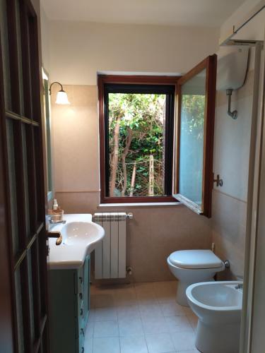 龙奇廖内roncio' cottage的一间带水槽和卫生间的浴室以及窗户。