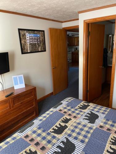 Claysburg2 Bedroom 2 Bathroom - Blue Knob All Season Resort Condo的一间卧室配有一张床和一个木制梳妆台