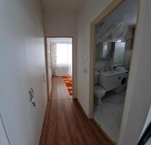 卡夫尼克DDDD Apartament的一间带水槽、卫生间和镜子的浴室