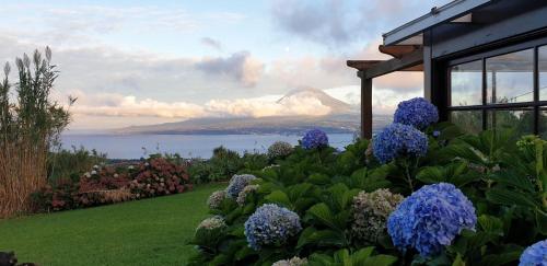 Pedro MiguelCasa Vista Fantástica的种有蓝色花卉的花园,享有山景