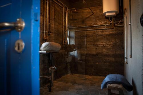 霍尔斯沃德吕尔Jakob´s old farmhouse的浴室里设有玻璃门淋浴