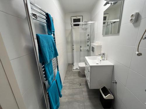 巴拉通雷勒Málna Privát Nyaraló的浴室配有水槽、卫生间和蓝色毛巾。