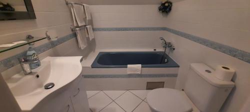 布拉格优越酒店的一间带卫生间和水槽的小浴室