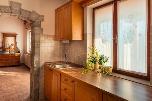 DutovljeTourist Farm Škerlj的厨房设有水槽和窗户。