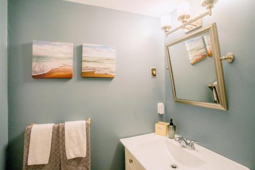 蓝山Updated Blue Mountain Studio @ North Creek Resort的一间带水槽和镜子的浴室