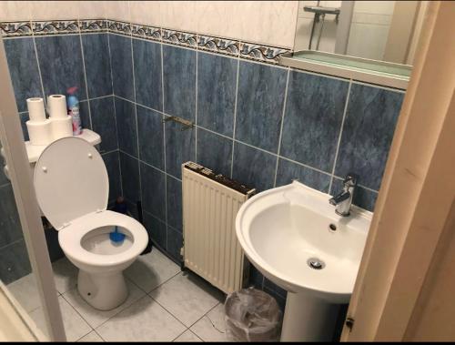 伦敦芬奇利路民宿的一间带卫生间和水槽的浴室