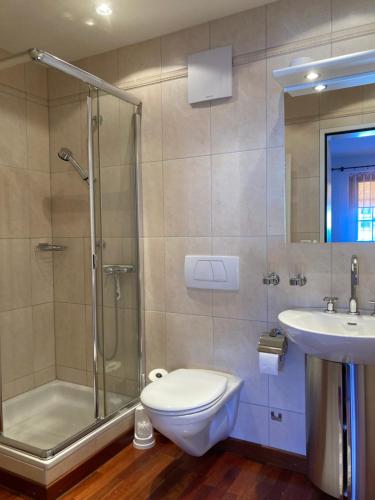 阿罗萨Guardaval的带淋浴、卫生间和盥洗盆的浴室