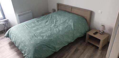 阿克斯莱泰尔姆Appartement T2 45 m² en centre-ville的卧室内的一张带绿色棉被的床
