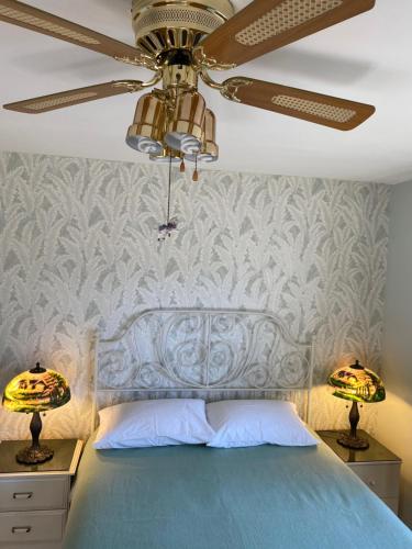 伯纳比Serenity的一间卧室配有一张蓝色的床和吊扇