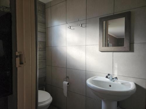 纽卡斯尔Snips Accommodation的一间带水槽、卫生间和镜子的浴室