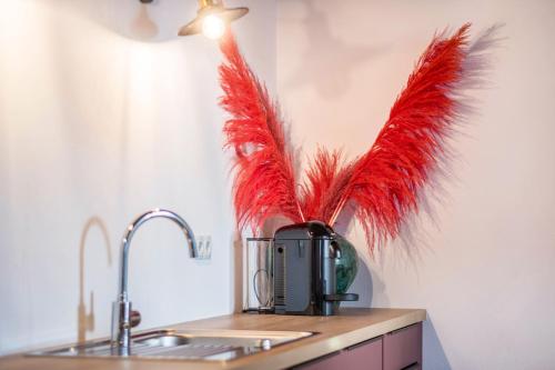 泰尔梅诺Eichhof Apartment Thymian的装满红色羽毛的花瓶,坐在厨房柜台上