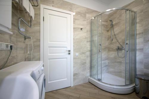 尤尔马拉Alve Apart Hotel的带淋浴的浴室和玻璃门