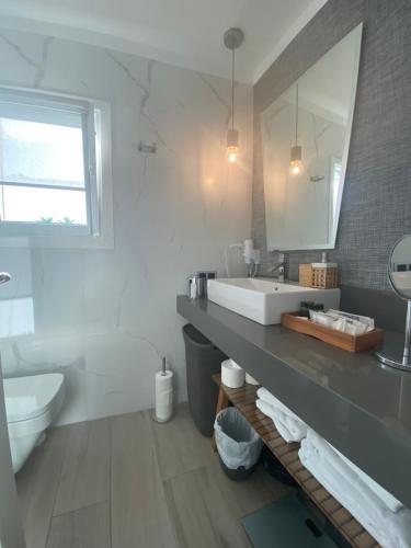 圣巴托洛梅Apartamento Oasis Palmeras 4的一间带水槽、卫生间和镜子的浴室