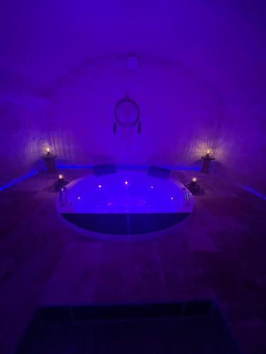 罗纳河畔的图尔农The Dream Spa 07的紫色客房,配有带灯的浴缸