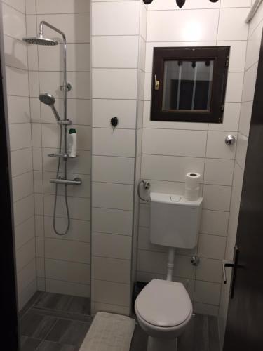 奥西耶克Hostel Lega House的浴室设有卫生间和带镜子的淋浴