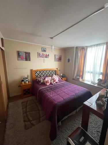 圣地亚哥Departamento en Condominio Cerrado La Florida的卧室配有一张大紫色床和粉红色枕头