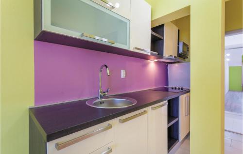 卡什泰拉Beautiful Apartment In Kastel Stafilic With 5 Bedrooms, Wifi And Outdoor Swimming Pool的一个带水槽和紫色墙壁的厨房