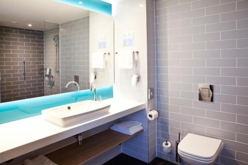 巴塞尔Holiday Inn Express & Suites - Basel - Allschwil, an IHG Hotel的一间带水槽、卫生间和镜子的浴室
