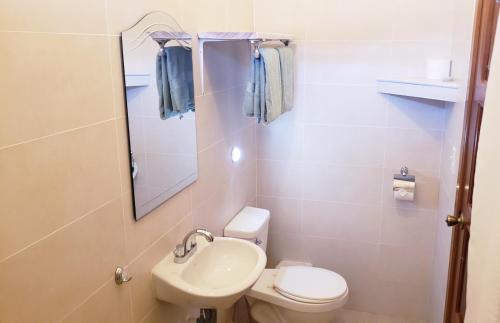 博卡斯德尔托罗Pineapple House的一间带卫生间和水槽的小浴室