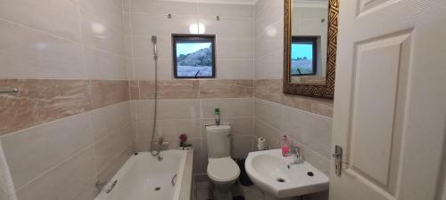 埃祖尔韦尼Mdzimba Mountain Lodge的一间带卫生间、水槽和镜子的浴室