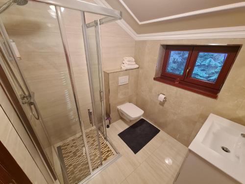 塔特兰斯卡科特利纳Villa Rusalka的带淋浴、卫生间和盥洗盆的浴室