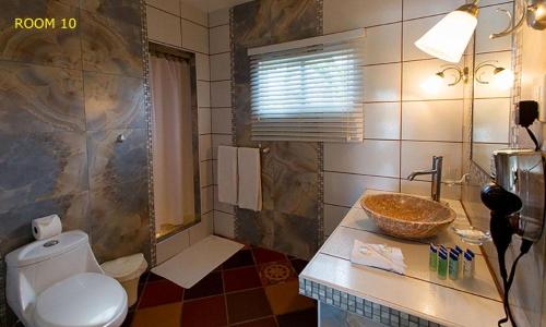 蓬塔查梅HOTEL CASA AMARILLA et RESTAURANT的一间带卫生间和水槽的浴室