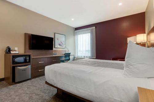 DauphinBest Western Plus Dauphin的配有一张床和一台平面电视的酒店客房