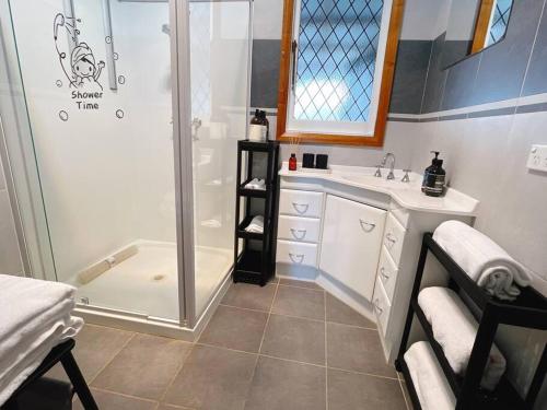 格莱诺基Stunning Hobart 3-bed home- close to shopping centers的带淋浴和盥洗盆的浴室