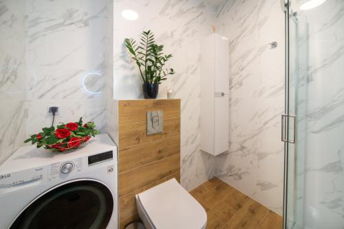 格但斯克Maya's Flats & Resorts 49 - 3 rooms flat in Szafarnia Gdansk的带淋浴的浴室内的洗衣机