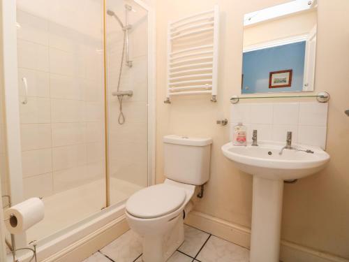 彭布罗克码头Nash Lodge的浴室配有卫生间、盥洗盆和淋浴。