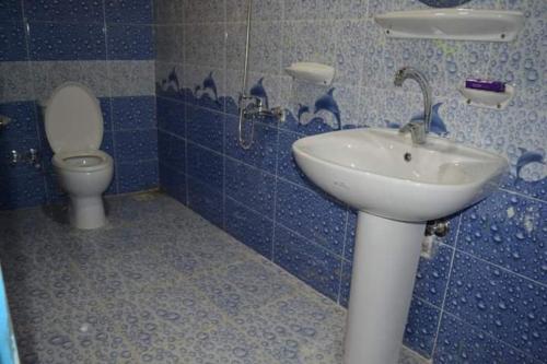 Tunisمنتجع تونس فاير- Tunis Fire Resort的一间带水槽和卫生间的浴室