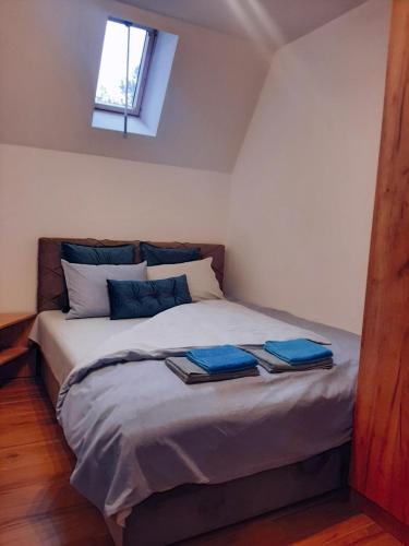 迪瓦伊巴雷Pahulja的一间卧室配有一张带蓝色床单的床和一扇窗户。