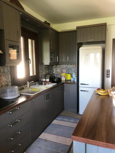 PefkófytonPefkofyto Mountain Retreat的厨房配有木制橱柜和白色冰箱。