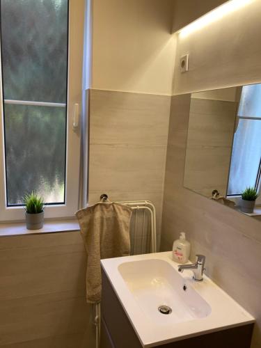 扎马迪昆茨勒公寓酒店的一间带水槽和镜子的浴室