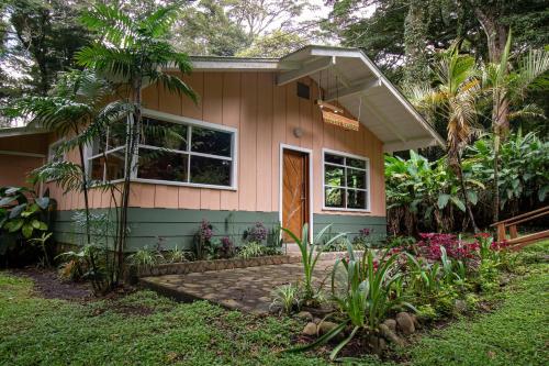 蒙泰韦尔德哥斯达黎加森林花园度假屋的绿色粉红色的小房子