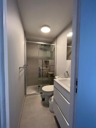 韦尔东的圣克鲁瓦Les Gites du Verdon, côté lac (studio et T2)的带淋浴、卫生间和盥洗盆的浴室