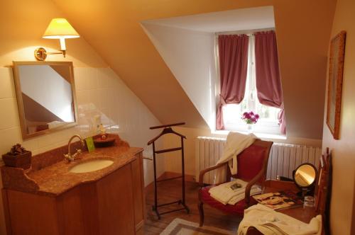 圣萨蒂南德玛内卡特纳酒店 - 勒芒的一间带水槽、镜子和椅子的浴室