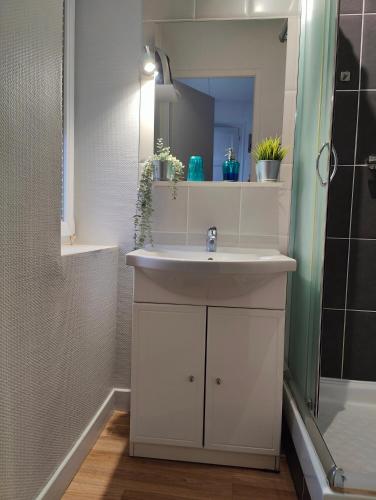 阿夫朗什Avranches - gare- Mont Saint-Michel的浴室设有白色水槽和镜子