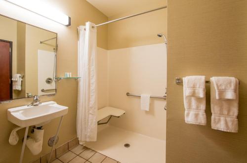 斯普林菲尔德Comfort Suites Springfield RiverBend Medical的一间带水槽和淋浴的浴室