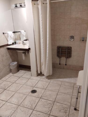 贝城Bay Valley Resort的浴室配有水槽和带浴帘的淋浴