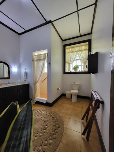 埃雷迪亚Casa del Cafe-Familiar的客房设有带卫生间和水槽的浴室。