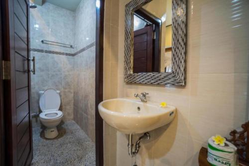乌布Bangbang Guest House Ubud的一间带水槽、卫生间和镜子的浴室