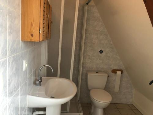 普华露奥博尔格迪普拉图雷特酒店的一间带水槽和卫生间的小浴室