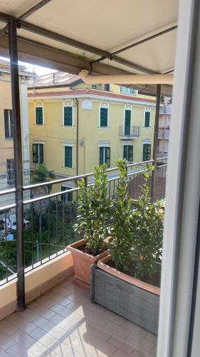佩斯卡拉Civico 28的建筑里两株盆栽植物的阳台