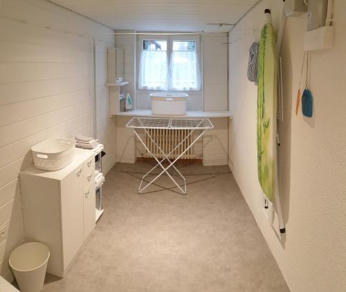特里森Sonnenkreisel Ferienhaus的一间白色的小浴室,配有水槽和窗户