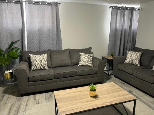 温尼伯Cozy Modern and Lavish 1 Bedroom Basement Suite的带沙发和咖啡桌的客厅