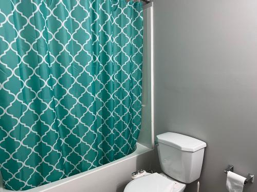 温尼伯Cozy Modern and Lavish 1 Bedroom Basement Suite的浴室设有卫生间和绿色淋浴帘。