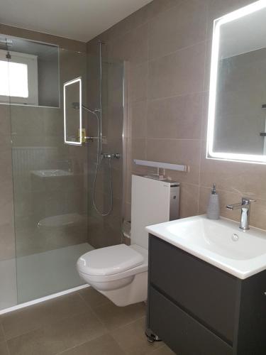 克莱恩 蒙塔纳Appartement Randogne的浴室配有卫生间、盥洗盆和淋浴。