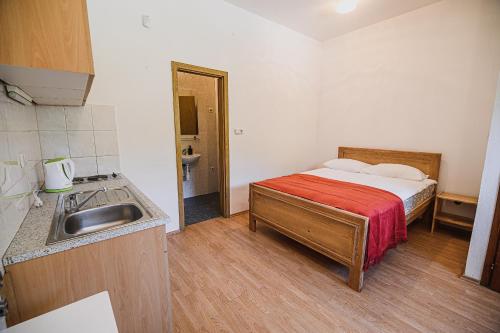 克拉尼Mojčin Pisker Apartment House的一间带床和水槽的小卧室